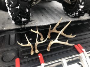 Read more about the article Found few sheds