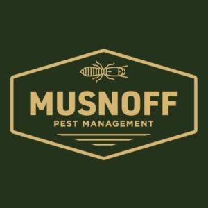 musnoff